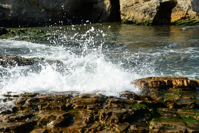 DSC_2703 (Large).JPG